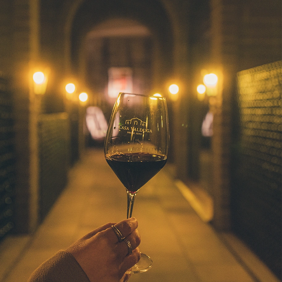 Casa Valduga Vineyard and Wine